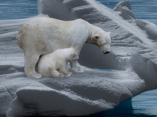 climat change