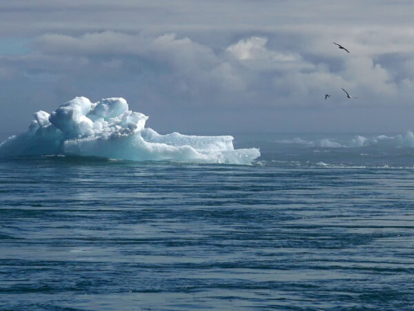 climat change