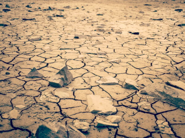 global warming
