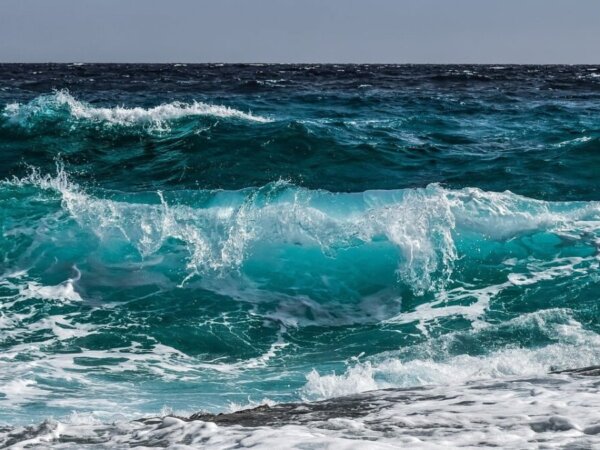 Meer