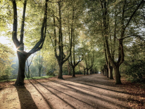 parque