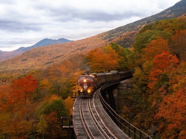train
