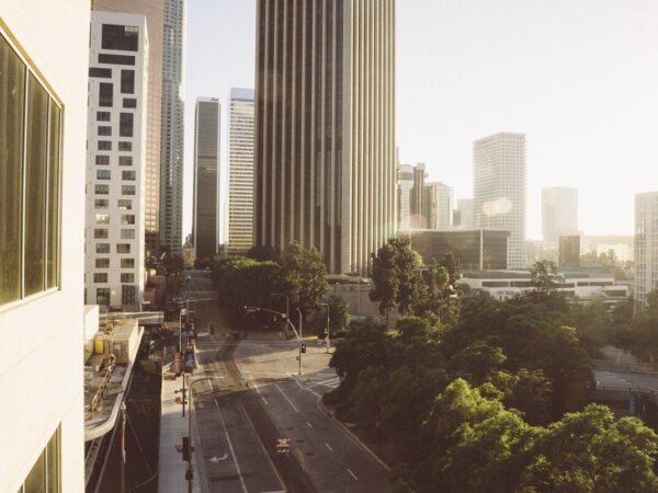 trees in city