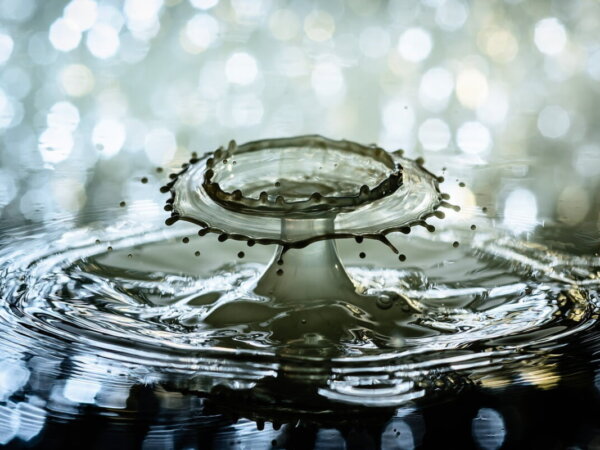 Wasser