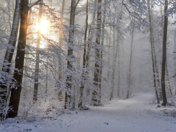 Winter