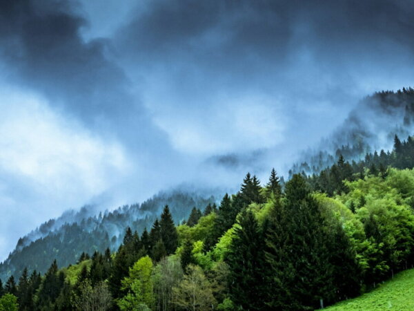 climate risk