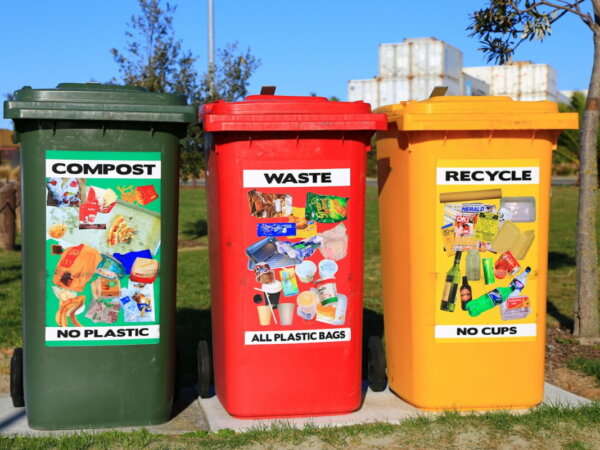 compost trash