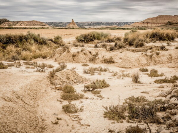 drylands