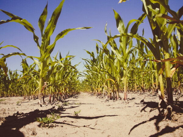 Erosion farming