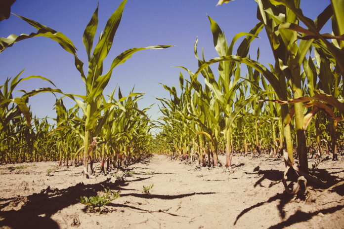 Erosion farming