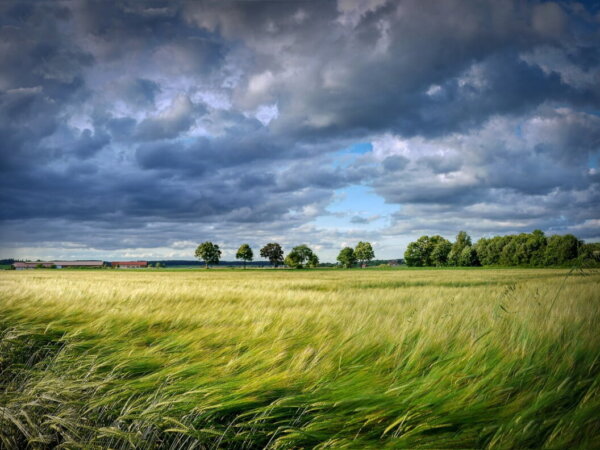 farming