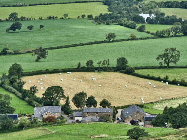farming food
