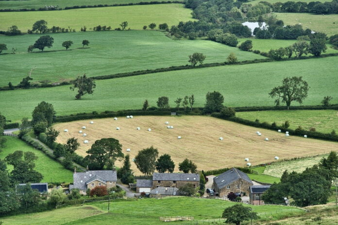 landwirtschaftliche Lebensmittel