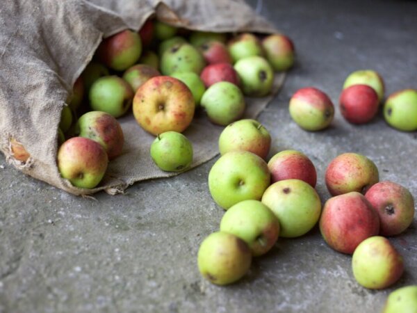 food waste