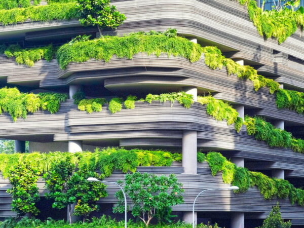 ciudad verde