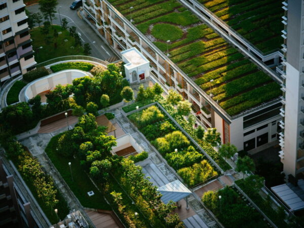 green roof