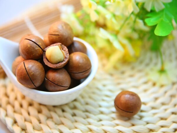 nueces