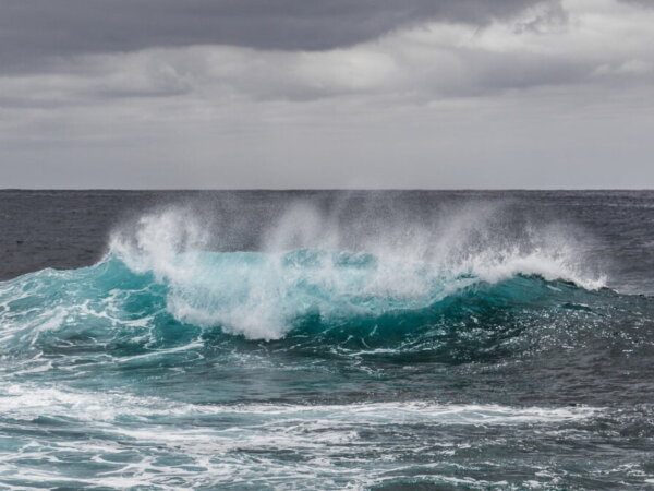 Meer