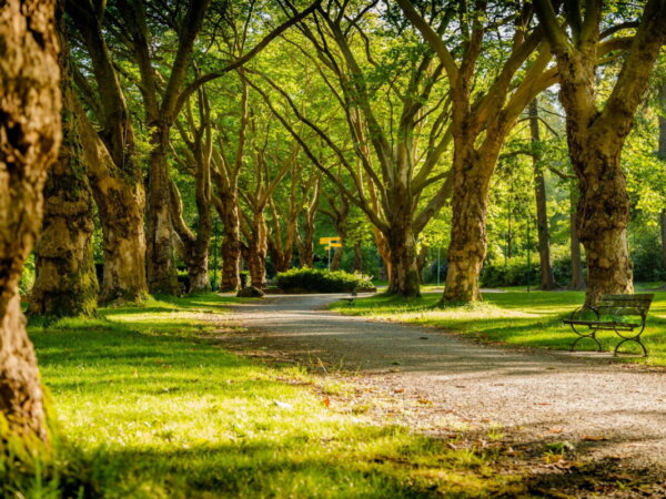 Park
