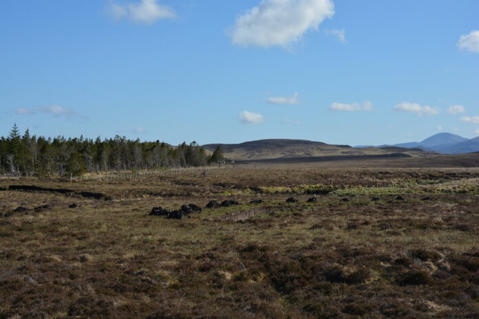 Peatlands