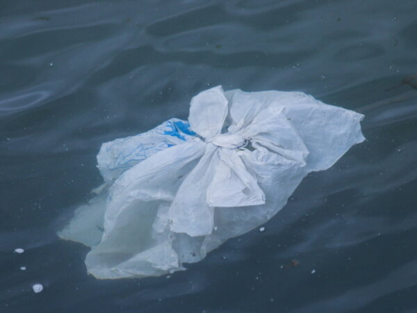 plastic bag