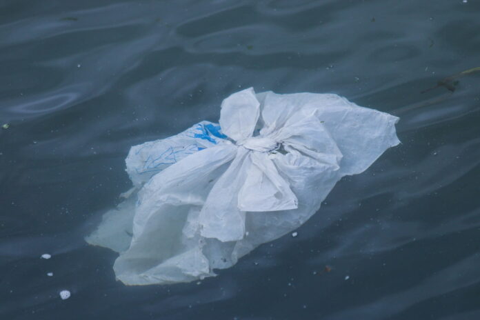 plastic bag