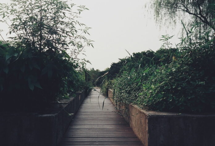 jardín de lluvia