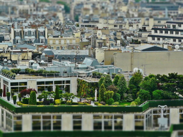 jardín en el tejado