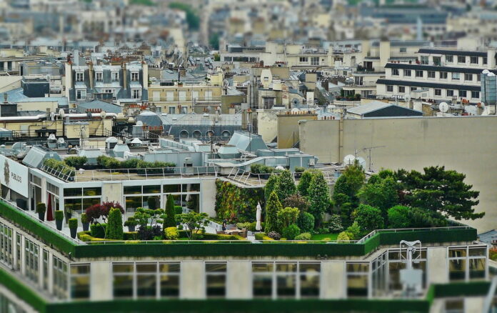 roof garden