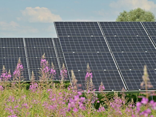 solar panels