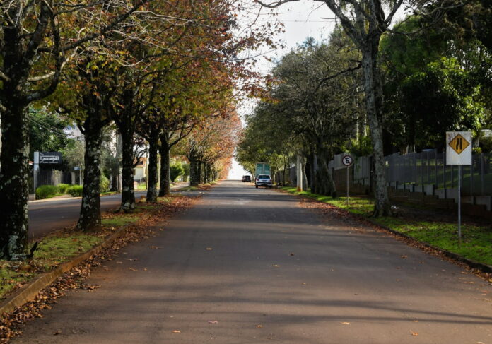 árbol urbano