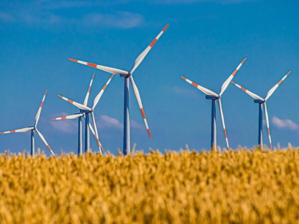 wind power