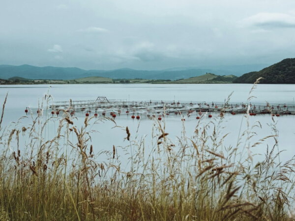 aquaculture