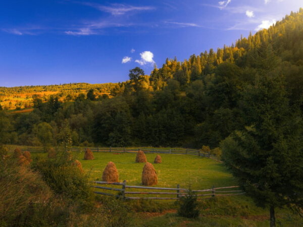 Eco-Villages