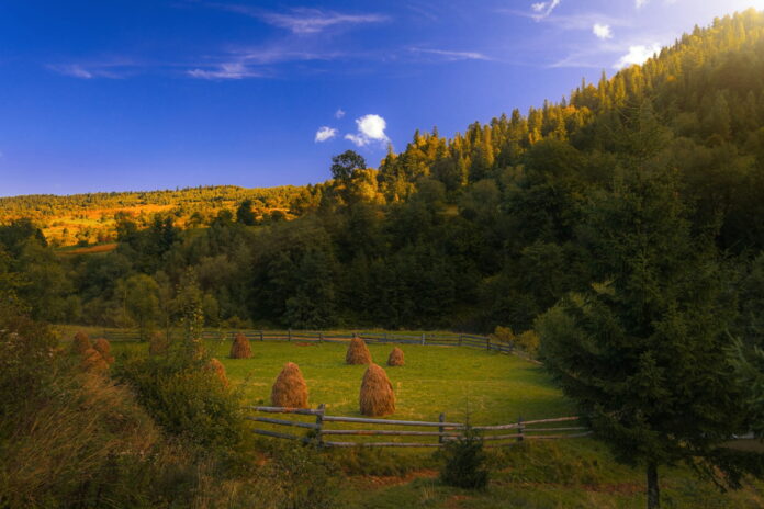 Eco-Villages