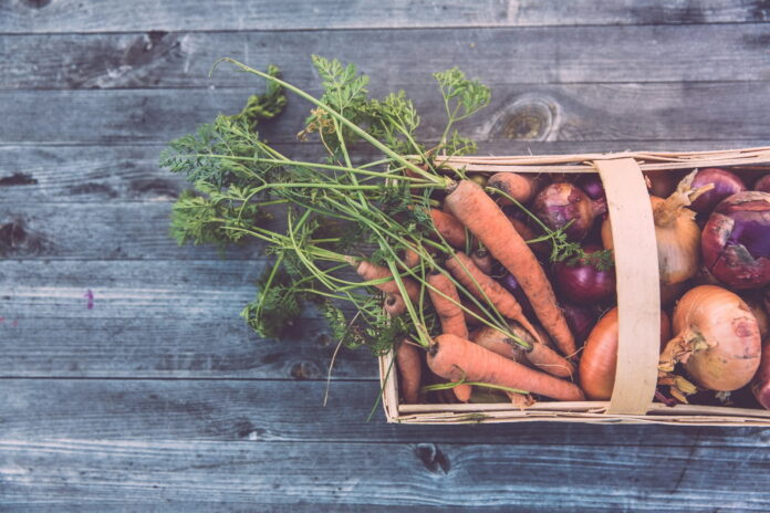 verduras