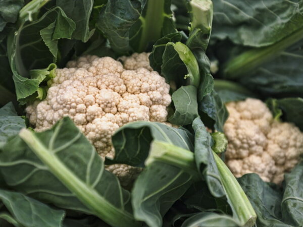Cauliflower