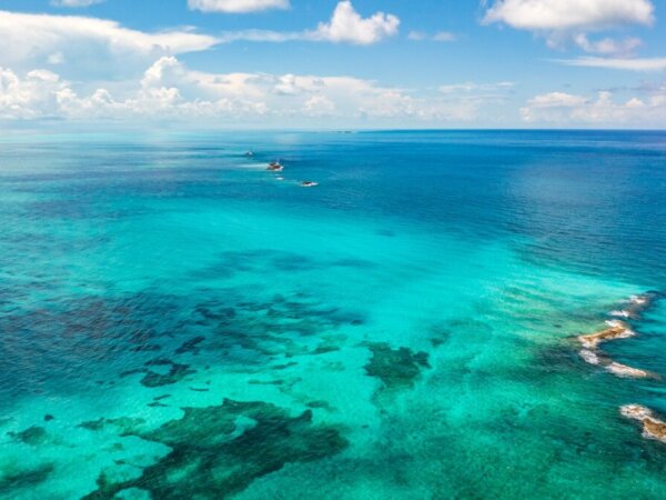 Coral Reefs