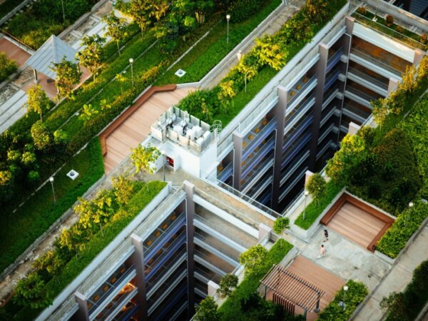 Green Roofs