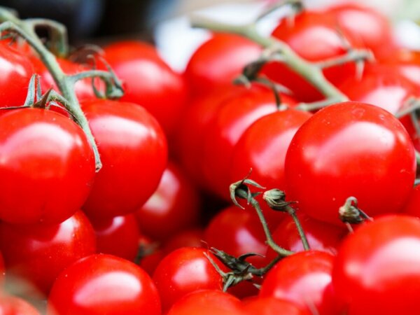 Tomatoes