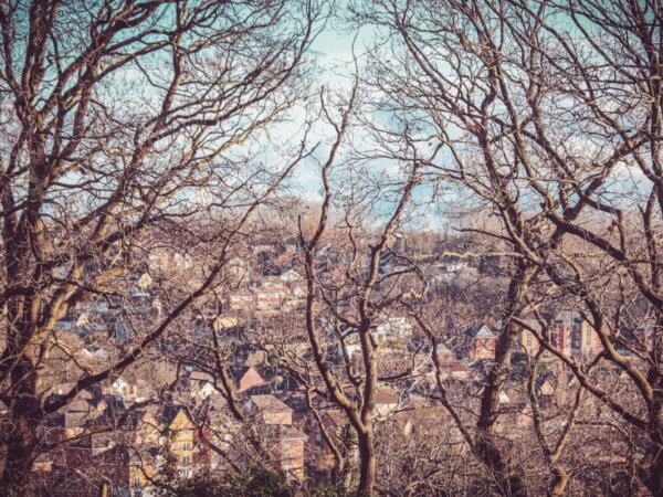 Urban ecosystem
