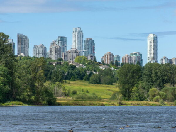urban green